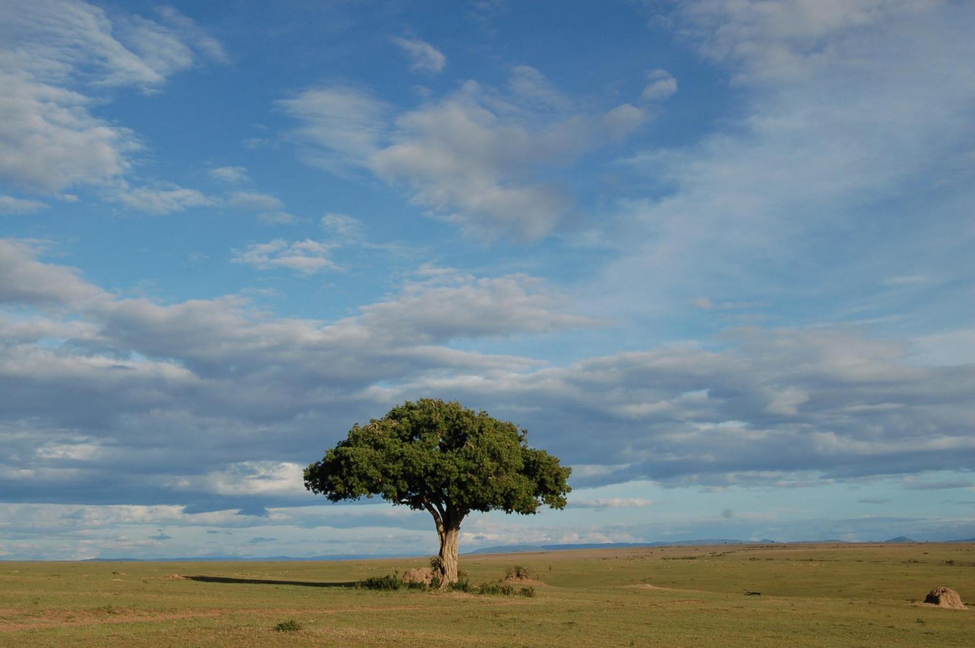 Mara Intrepids Tented Camp Talek Εξωτερικό φωτογραφία