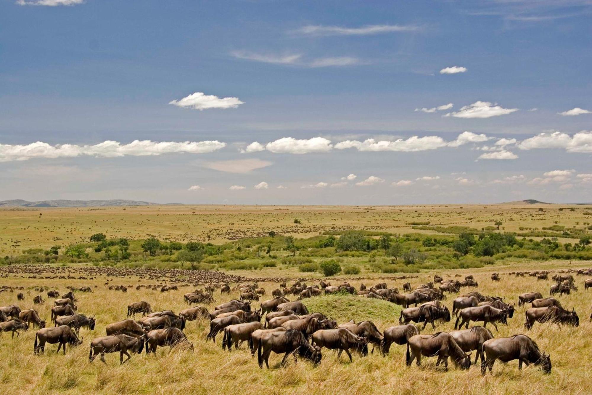 Mara Intrepids Tented Camp Talek Εξωτερικό φωτογραφία